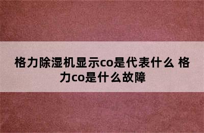 格力除湿机显示co是代表什么 格力co是什么故障